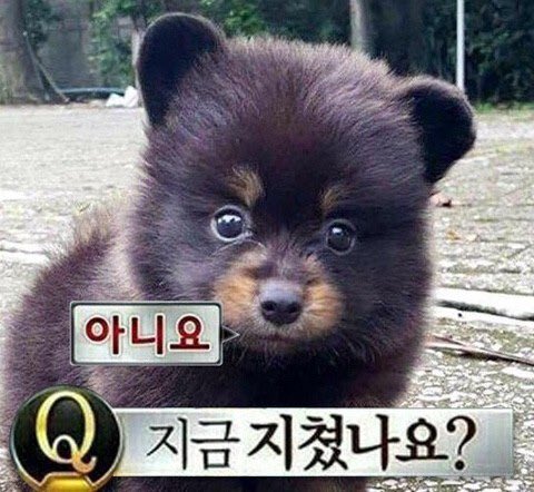 [잡담] 얘 뭔가 엔시티 해찬 닮음 | 인스티즈
