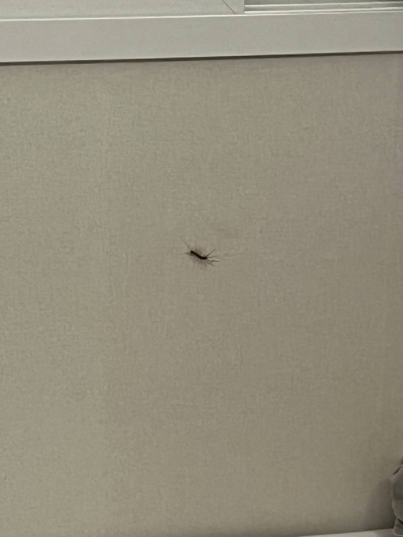 [잡담] 익들아 제발 이거 지네야???? 아 나 죽을거같아 (ㅎㅇㅈ) | 인스티즈