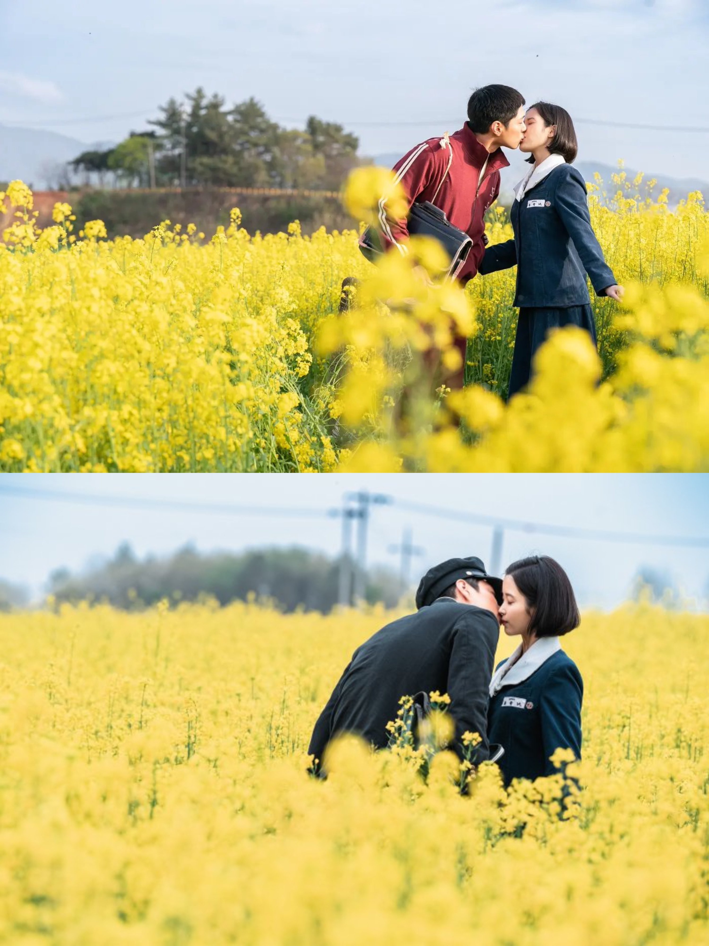 [잡담] 어케 아이유랑 박보검이 애순관식이지 | 인스티즈