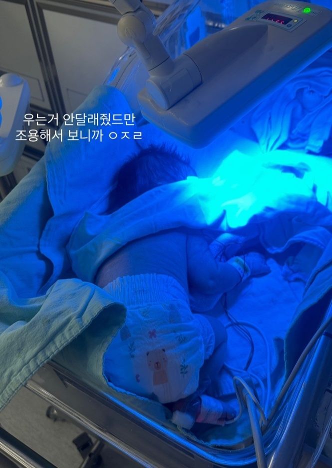 [정보/소식] 지금 난리난 대가대병원 충격적인 점 (내용주의) | 인스티즈