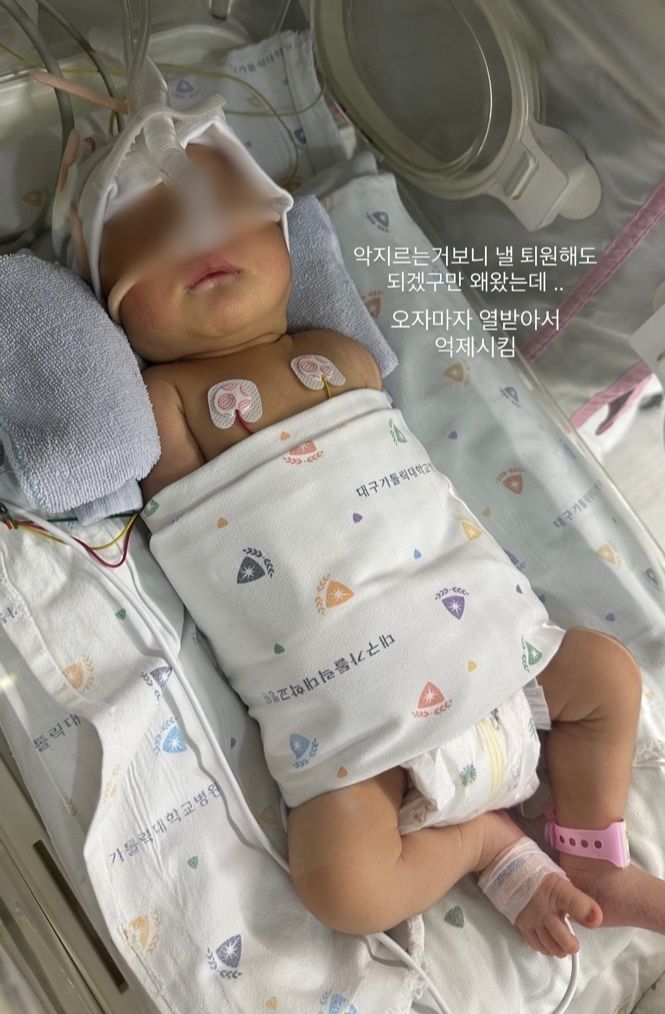 [정보/소식] 지금 난리난 대가대병원 충격적인 점 (내용주의) | 인스티즈