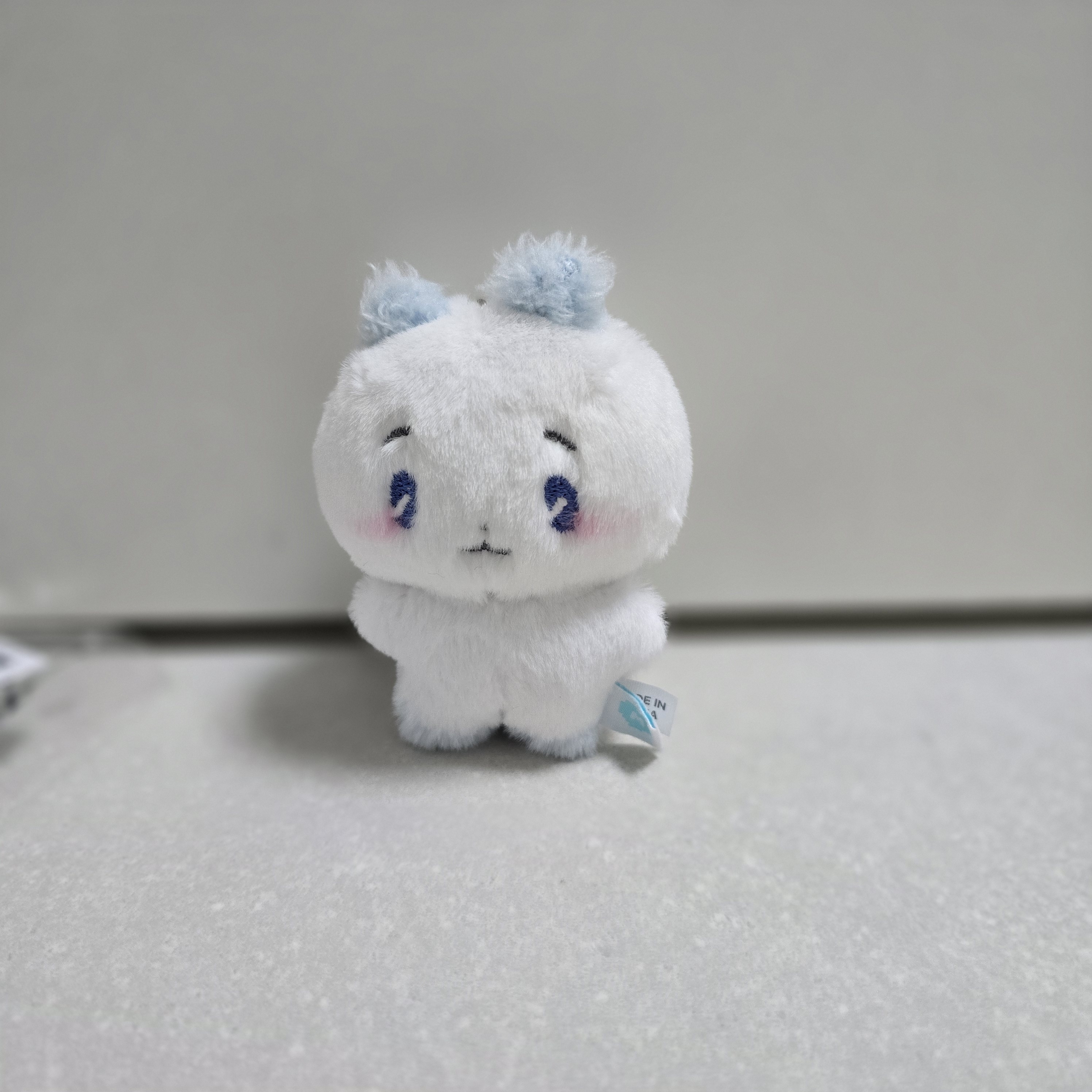[잡담] 헉 나 타팬인데 드디어 몌무 보유자ㅠㅠㅠ | 인스티즈