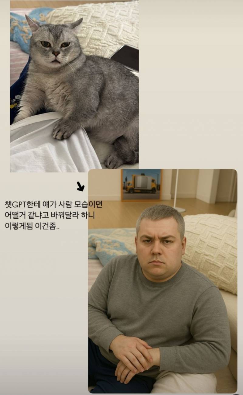 [잡담] 강아지고양이 키우는익들아 쳇지피티 이거해줰ㅋㅋㅋ | 인스티즈