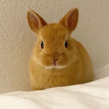 [잡담] 도영이 할룽거리는거 너무 귀엽다 | 인스티즈