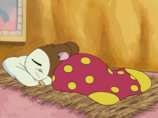 [잡담] 😴 이 소듕한 만화플에 내 최애 오랜만에 영업합니다!! 😴 | 인스티즈
