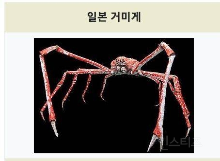 솔직히 이순신 장군 성역화 올려치기 짜증나는 게 | 인스티즈