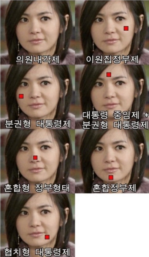 [잡담] 내각제의 다른이름을 알아보자 | 인스티즈