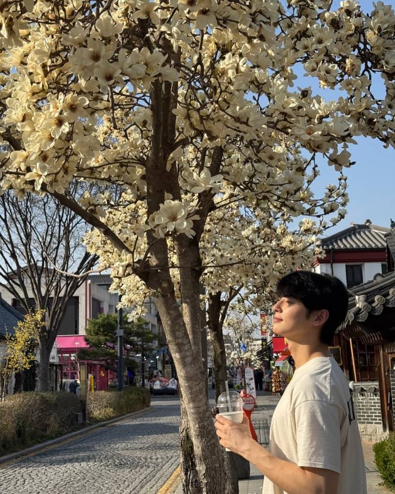 현재 이유없이 고자극이라는 차은우 전주여행.JPG | 인스티즈