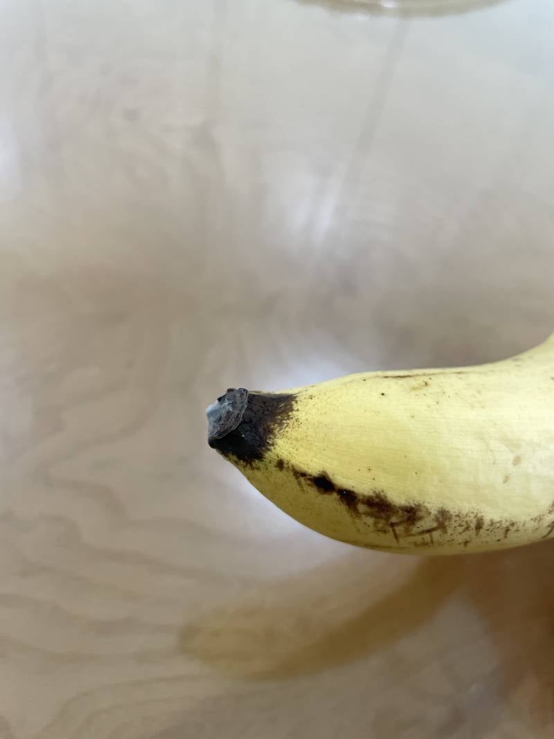 [잡담] 바나나 끝 흰곰팡이 먹을까 말까 | 인스티즈