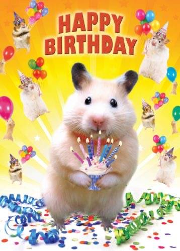 [잡담] 얘들아 포토케이크 사진 골라주라🐹🐹 | 인스티즈