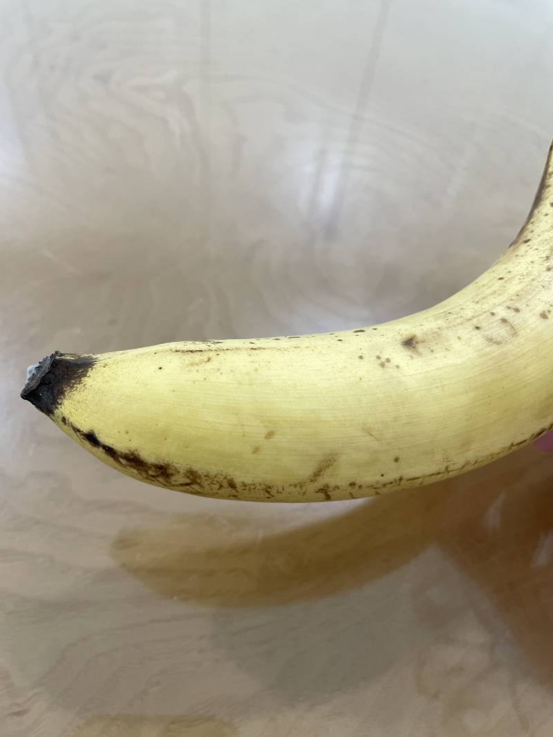 [잡담] 바나나 끝 흰곰팡이 먹을까 말까 | 인스티즈