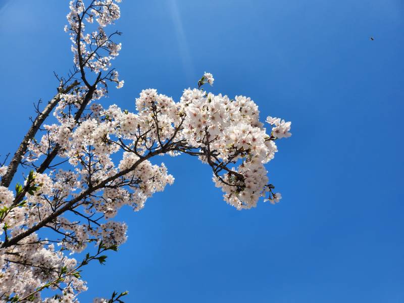 [잡담] 날씨 쥑이네예 | 인스티즈