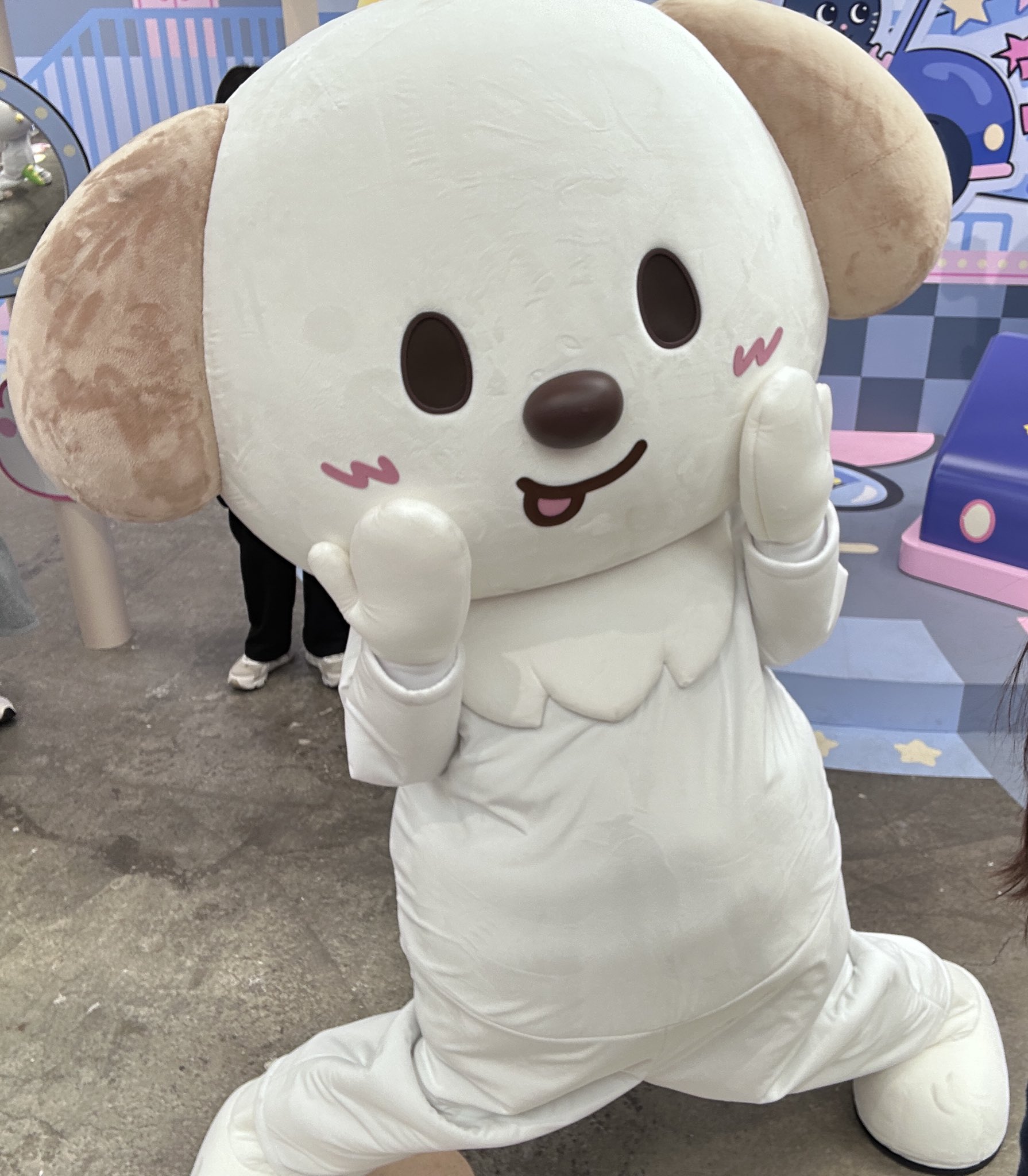 [잡담] 멍룡이 앤톤 닮아서 매너 좋네 | 인스티즈