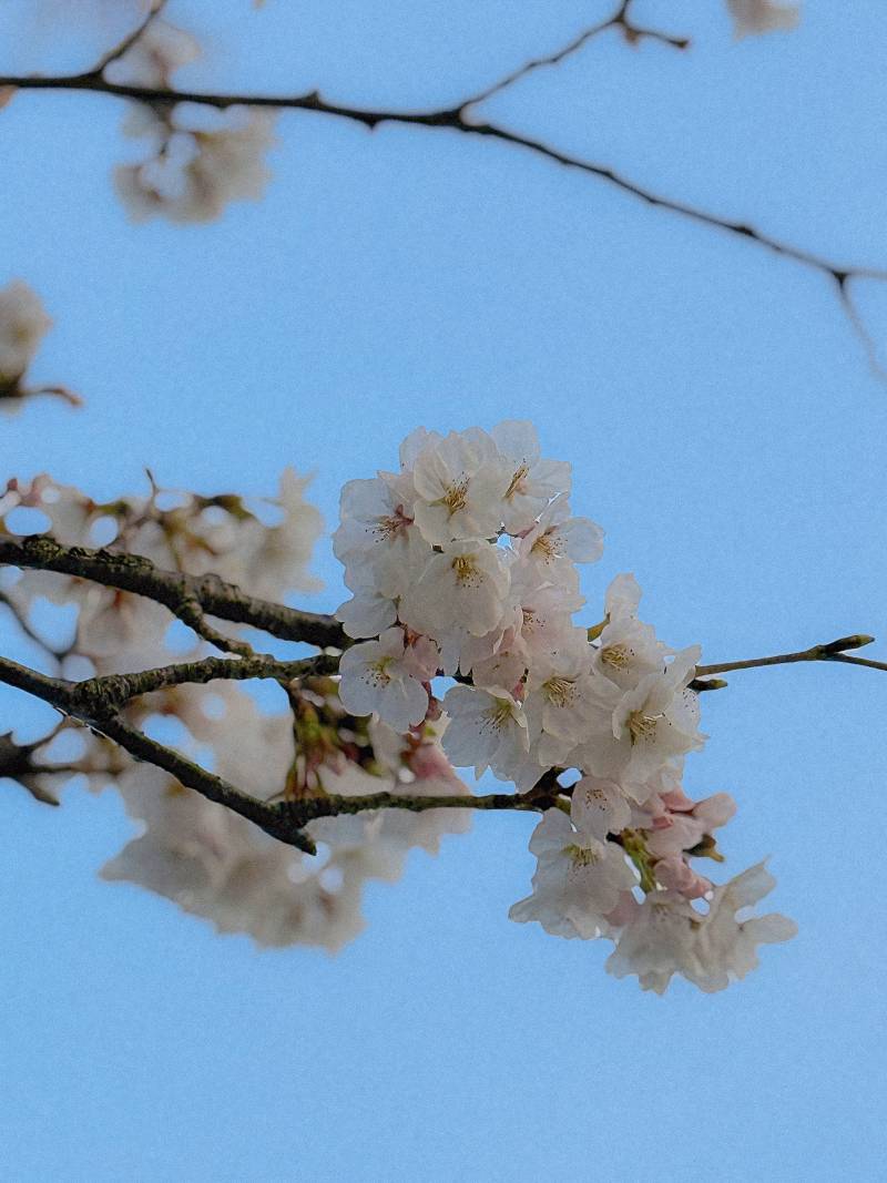 [잡담] 보정의중요성(?) | 인스티즈