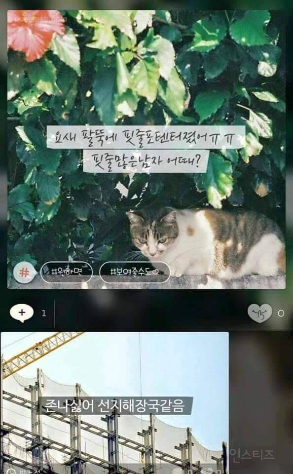 [잡담] 오랜만에 보는 모씨감성⎛⎝⎛ᵔᗜᵔ*⎞⎠⎞ | 인스티즈