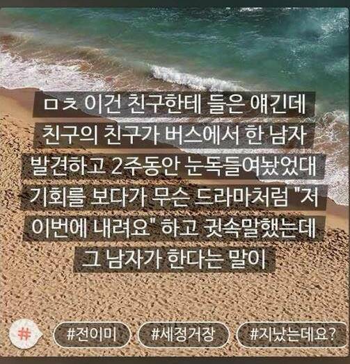 [잡담] 오랜만에 보는 모씨감성⎛⎝⎛ᵔᗜᵔ*⎞⎠⎞ | 인스티즈
