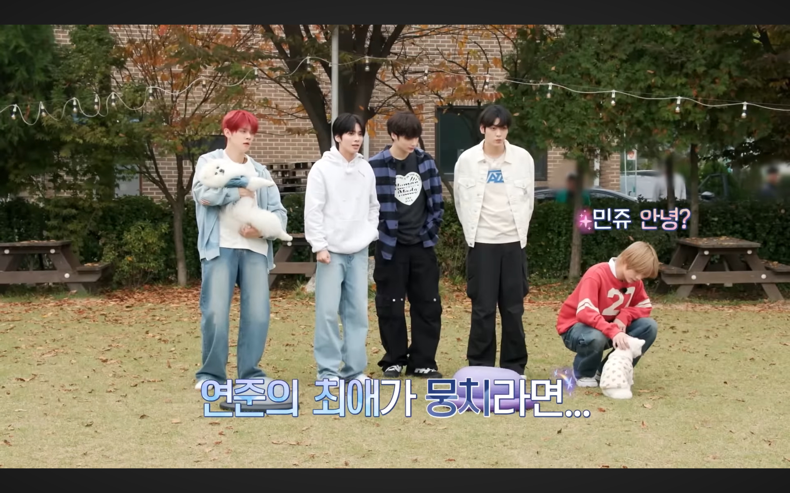 [잡담] 누가 이거보고ㅋㅋㅋ 개팔자가상팔자 래ㅋㅋㅋㅋ | 인스티즈