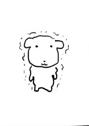 [잡담] 추추 듀 강아지 닮음 | 인스티즈