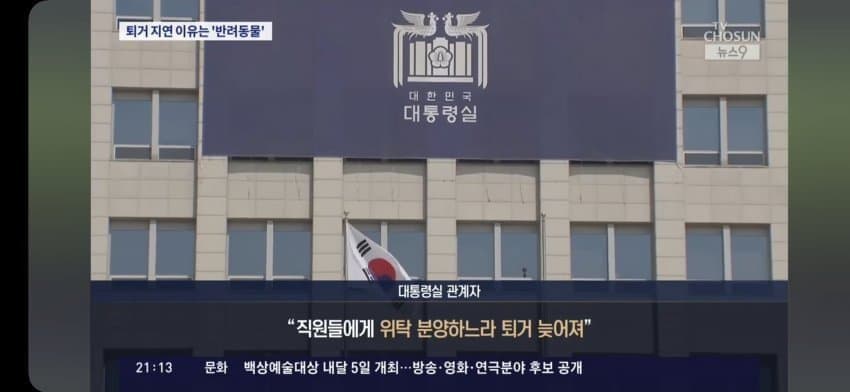 [정보/소식] (tv조선) 대통령실 관계자왈 윤건희 퇴거 늦어지는 이유: 반려동물 다 파양하느라ㅇㅇ | 인스티즈