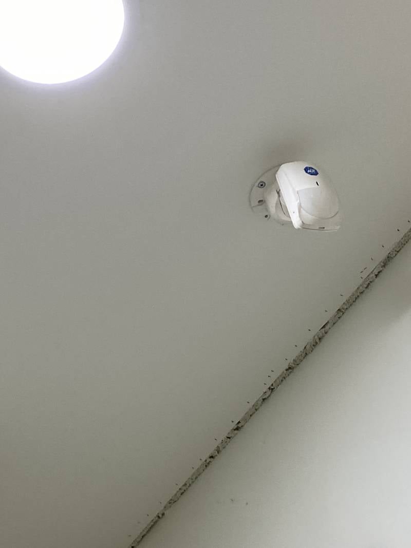 [잡담] 이거의 정체는 뭐야? | 인스티즈
