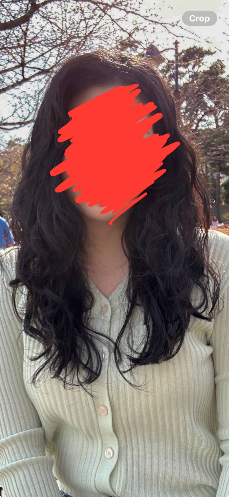[잡담] 물결펌했는데 관리 제대로 안하면 일케됨 | 인스티즈