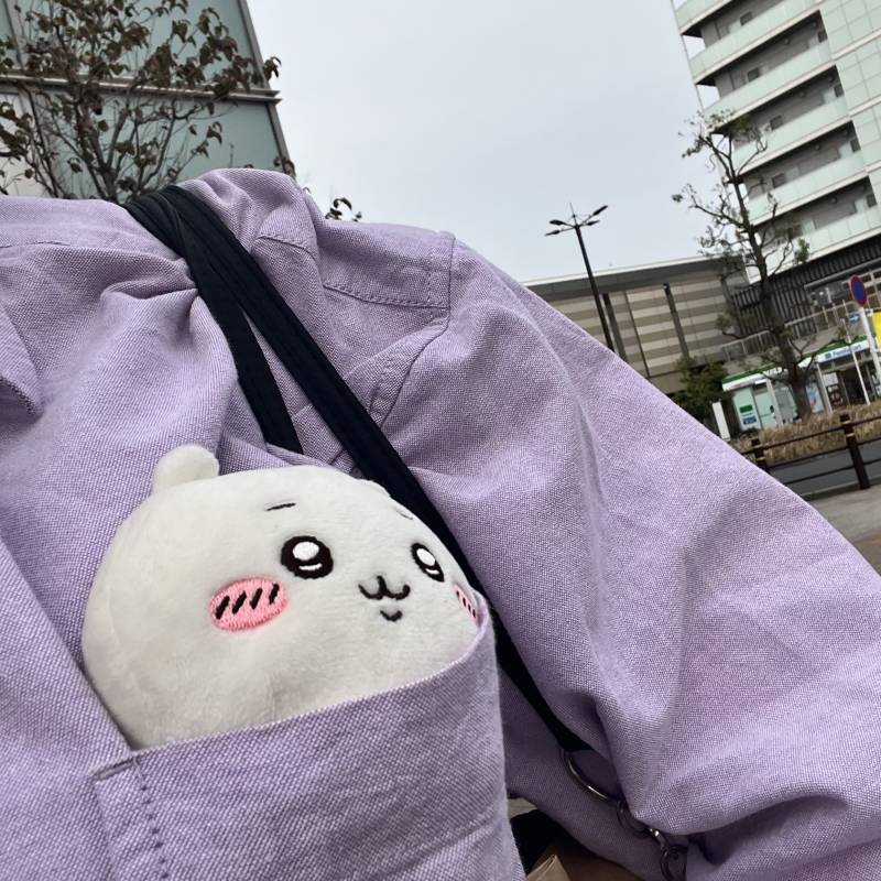 [잡담] 치이카와 키 인형이랑 같이 집가는중 | 인스티즈