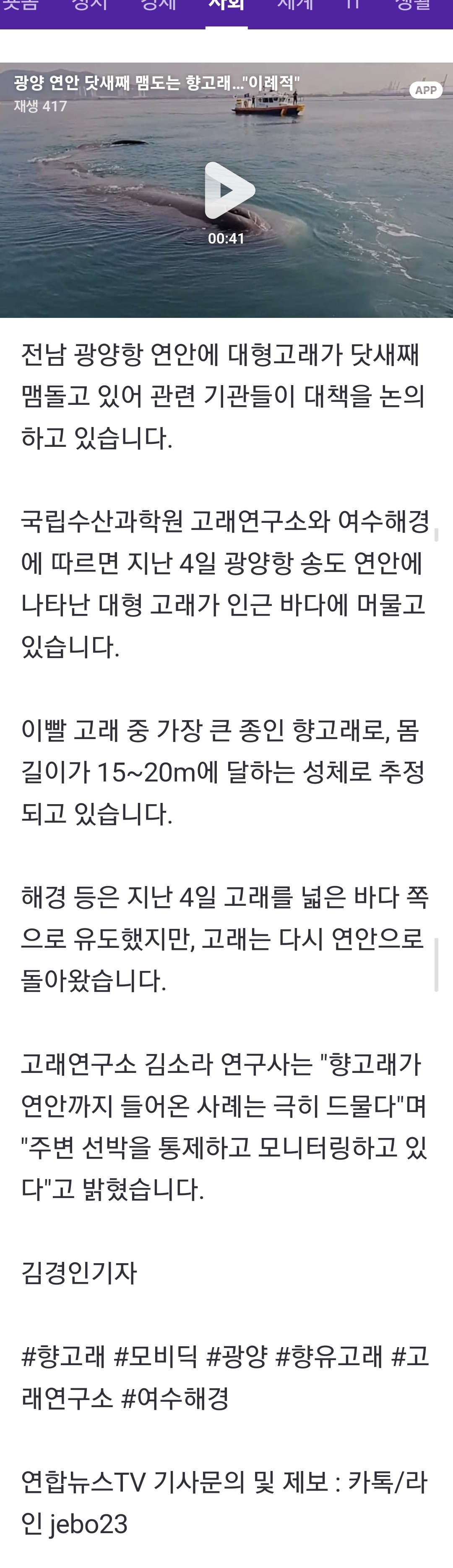 [정보/소식] 광양 연안 닷새째 맴도는 향고래... "이례적" | 인스티즈