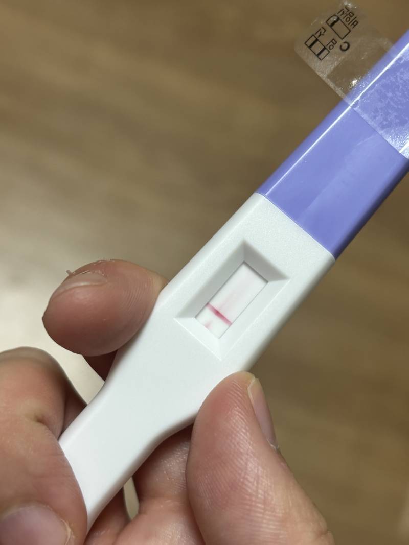 [잡담] 객관적으로 한줄이야 두줄이야 | 인스티즈