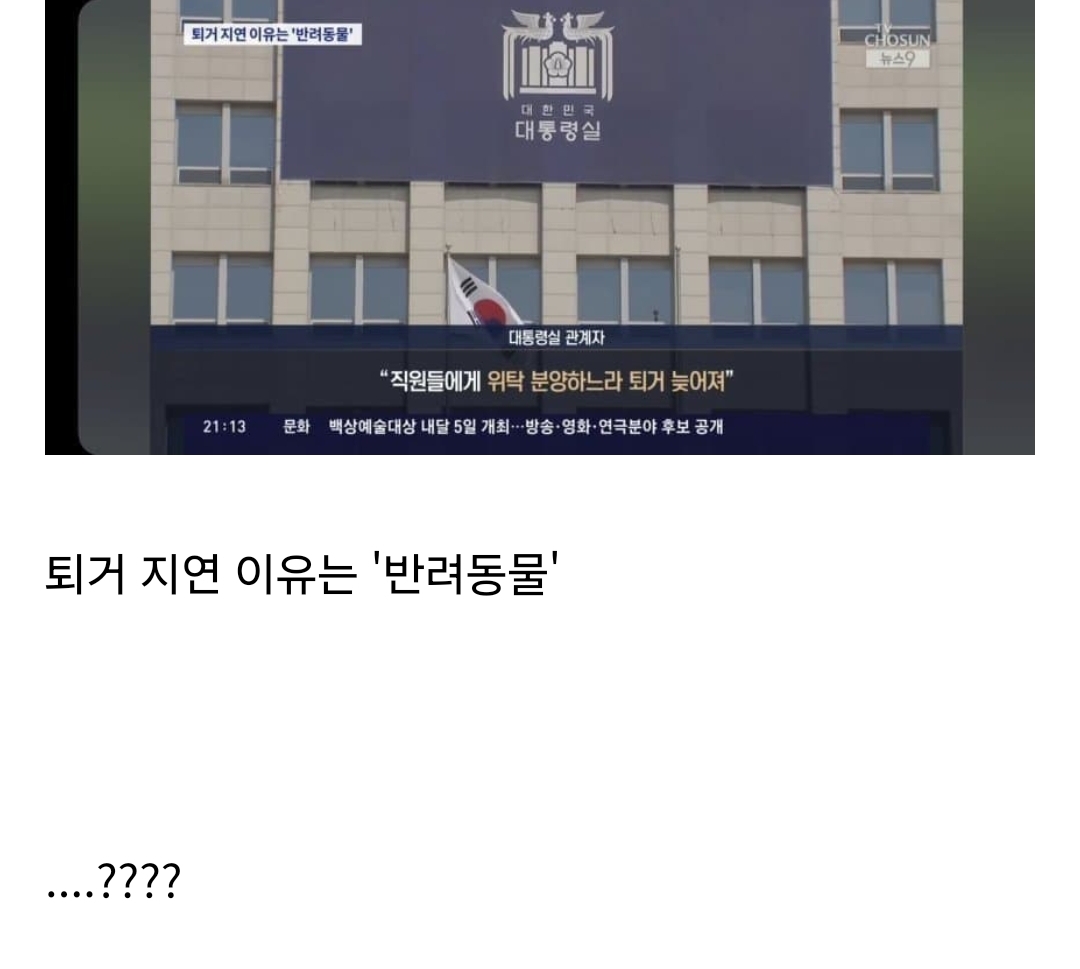 [잡담] 이거 파양이지....??? | 인스티즈
