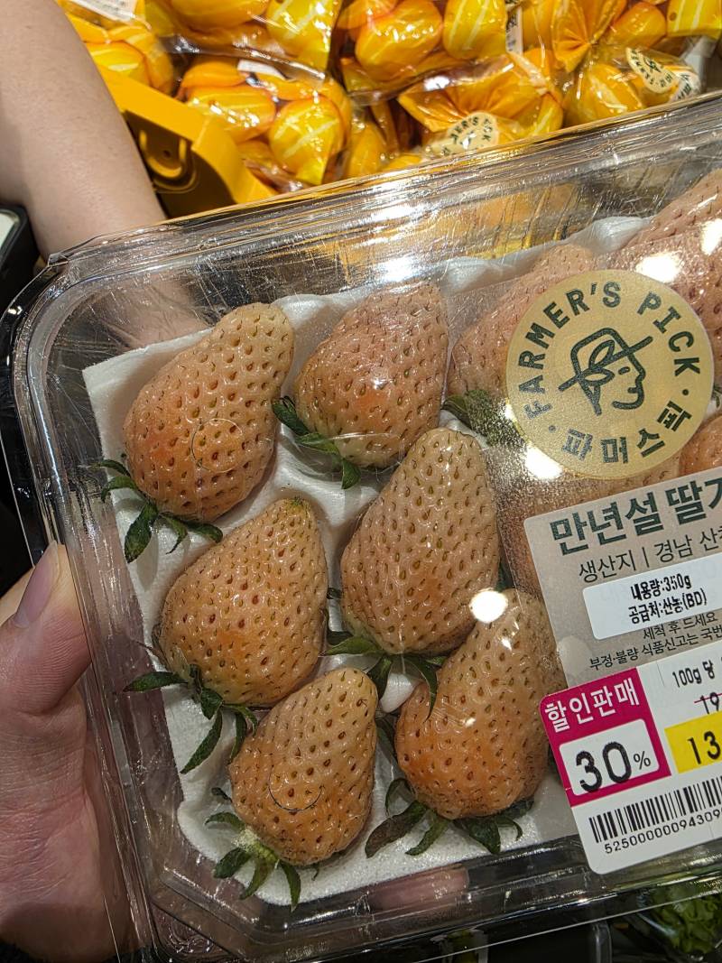 [잡담] 멍구멍구딸기ㅜ | 인스티즈