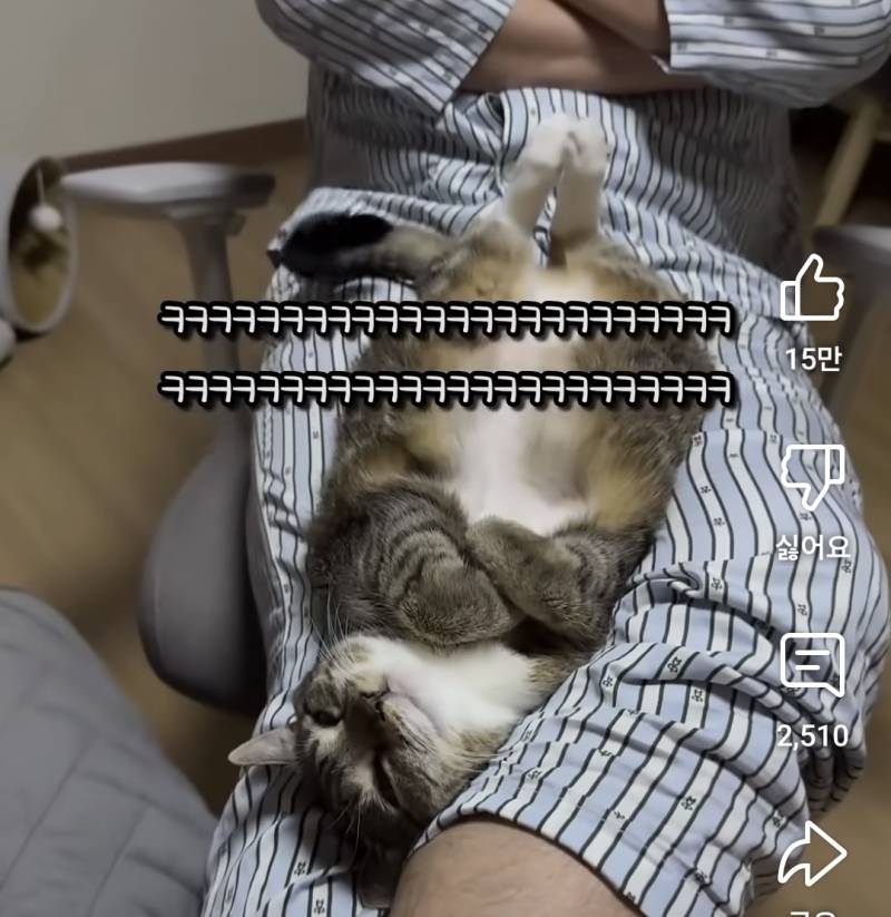 [잡담] 춘봉이 진짜 귀엽다 | 인스티즈