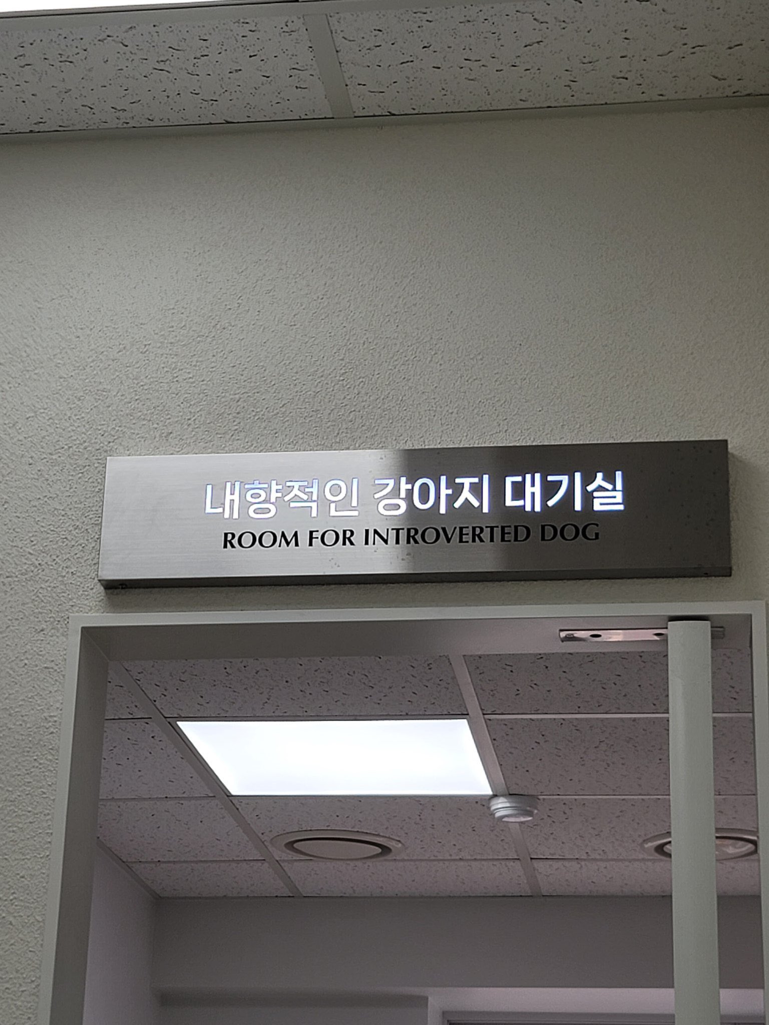 [잡담] 보넥도 자컨봤는데ㅋㅋ 리우 볼때마다 이거 생각남 | 인스티즈