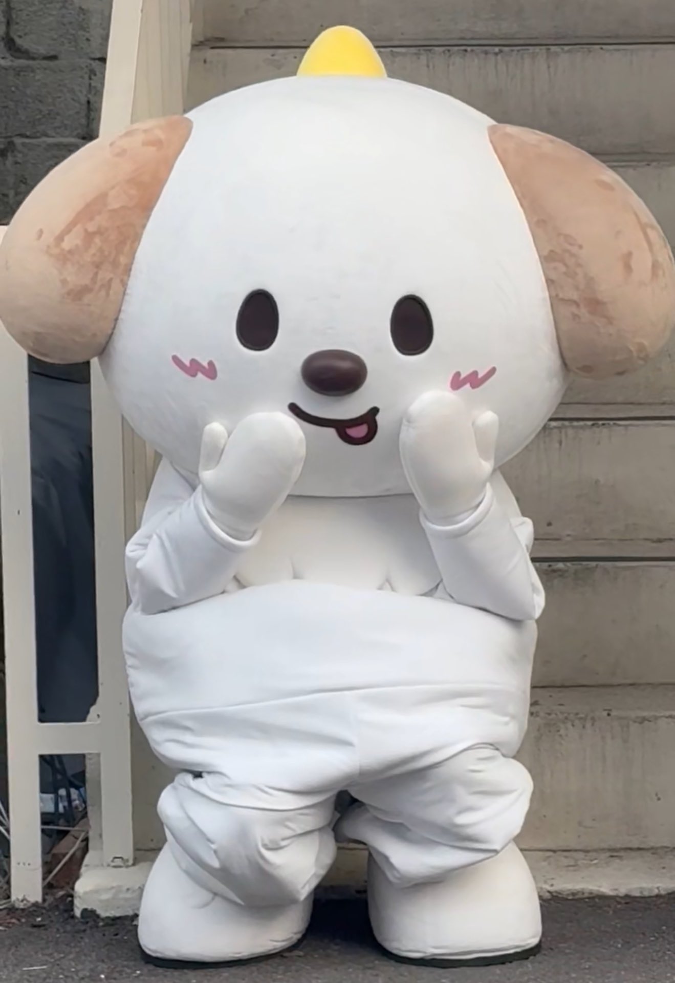 [잡담] 용돌이 멍룡이 그냥 앉아있는데 캐해 차이 봐 은석 앤톤 | 인스티즈