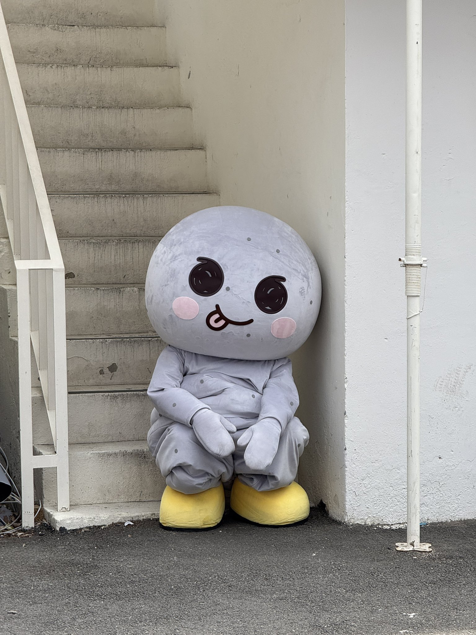 [잡담] 용돌이 멍룡이 그냥 앉아있는데 캐해 차이 봐 은석 앤톤 | 인스티즈