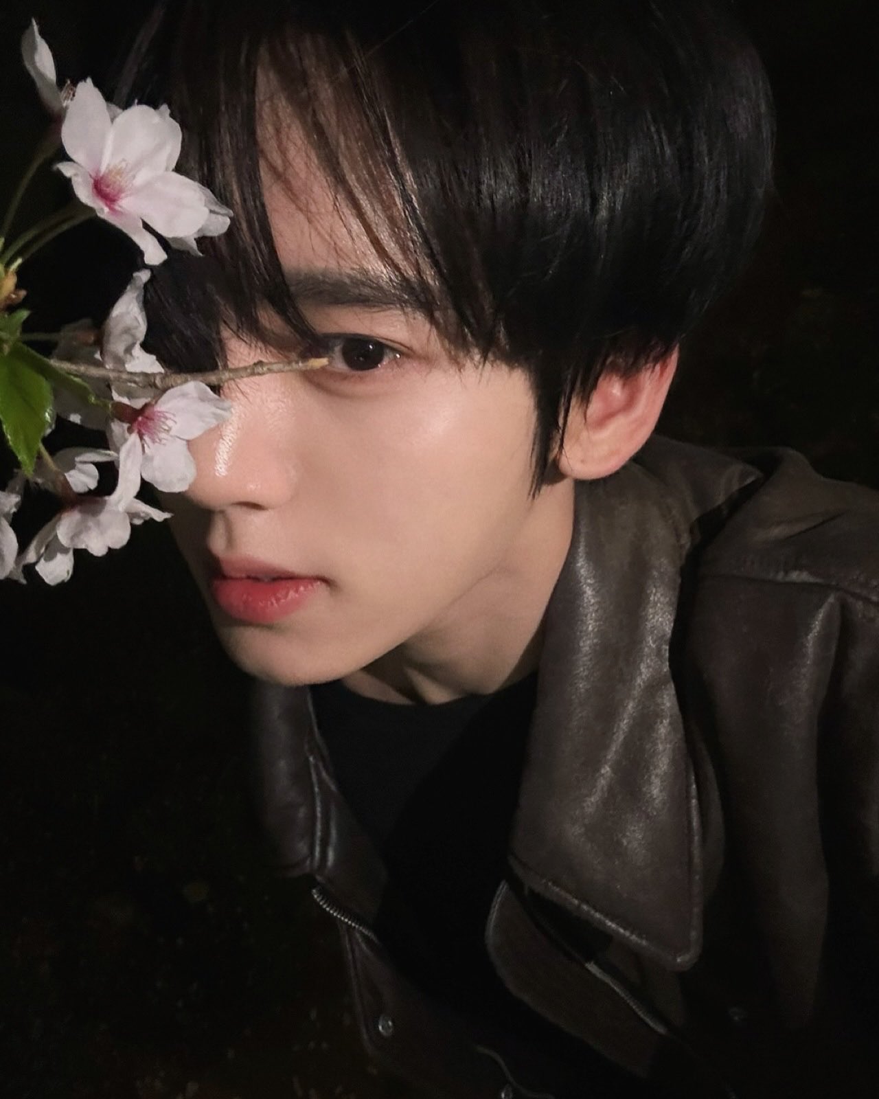 [잡담] 와 한유진 벚꽃이랑 찍은 셀카 미쳤다 | 인스티즈
