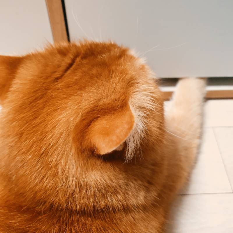 [잡담] 얘 여기다 손은 왜 끼워놨지ㅋㅋㅋㅋㅋㅋㅋ | 인스티즈