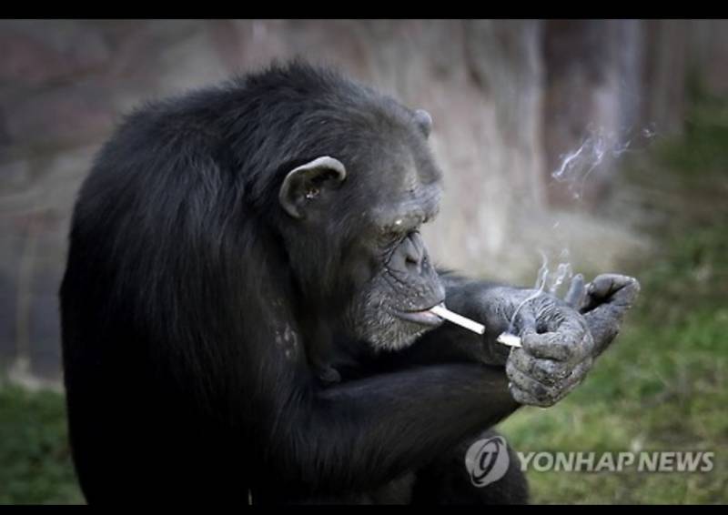 [잡담] 다들 이러고 사는거지?? | 인스티즈