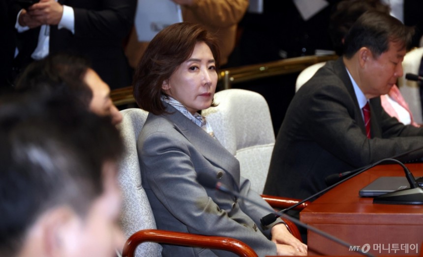 [정보/소식] [속보] 국민의힘 나경원, 11일 국회서 대선 출마 선언 | 인스티즈