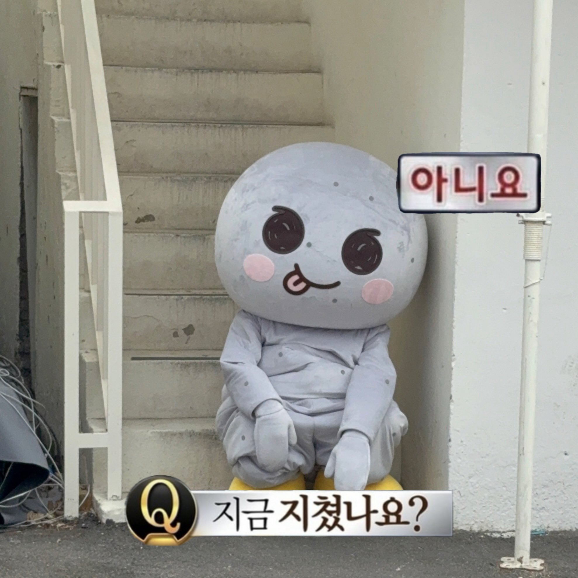 [잡담] 라이즈 지금 미국에서 개쩌는거 찍을준비하겠지?? | 인스티즈