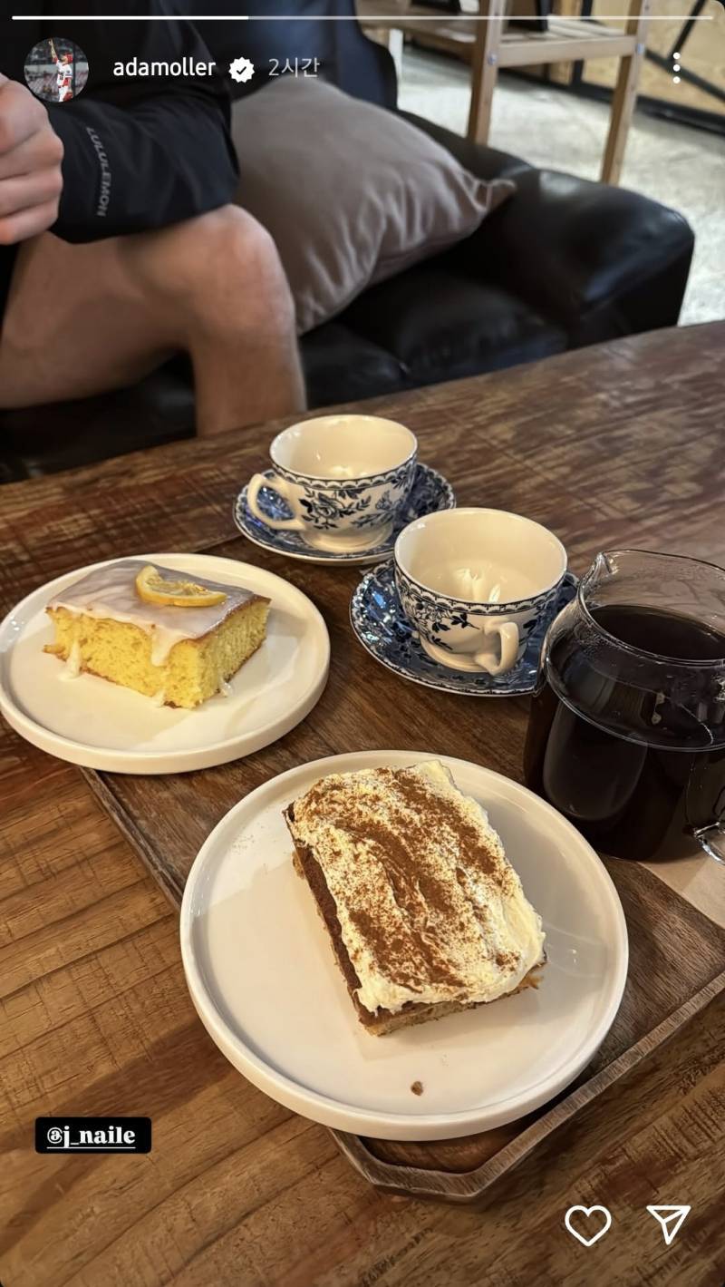 [잡담] 갈맥들의 집단지성이 필요해 (+도리도) | 인스티즈