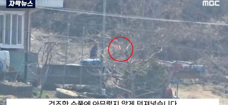 [잡담] 와 진짜 불을 일부러 낸 사람도 있음 | 인스티즈