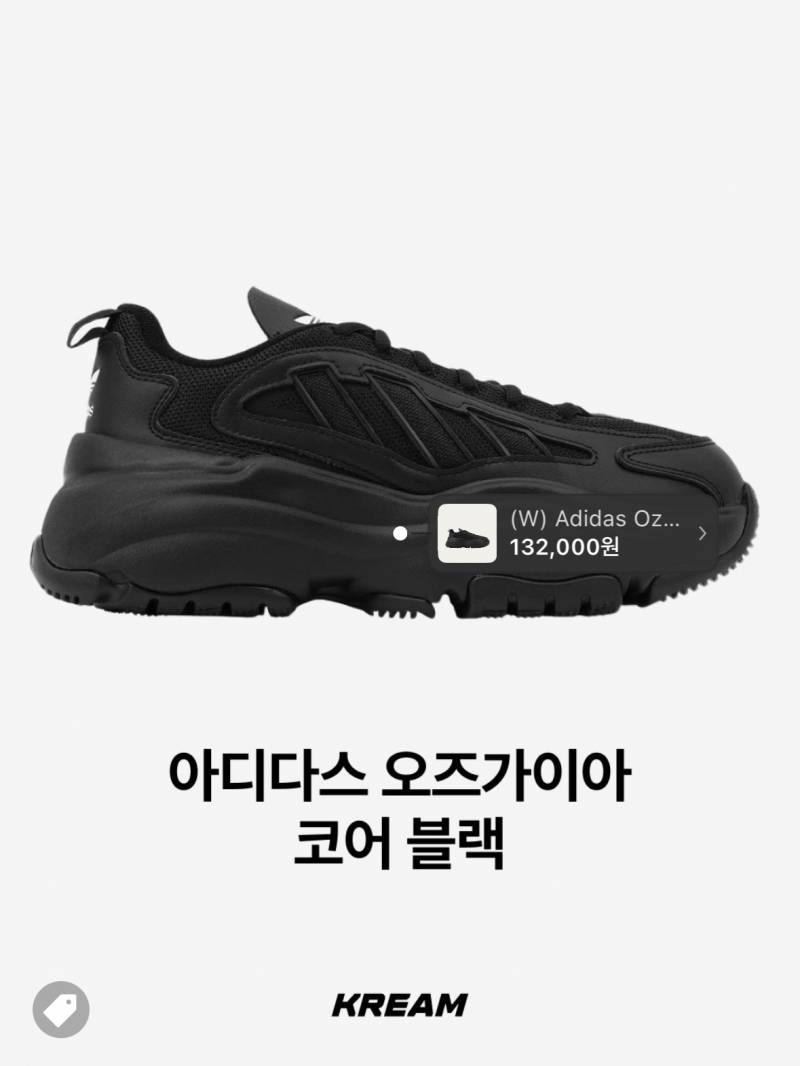 스탠딩에 신고 가면 눈초리 받는다는 신발.JPG | 인스티즈