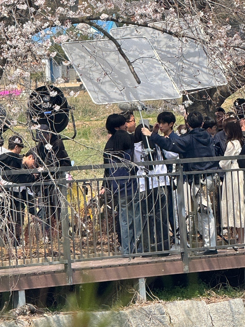 [잡담] 정해인 하영 벚꽃 촬영씬 개이쁠거같다 | 인스티즈