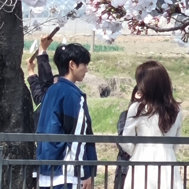 [잡담] 정해인이 조폭2인자인데 복실복실 강와쥐를 말아주잖아? | 인스티즈