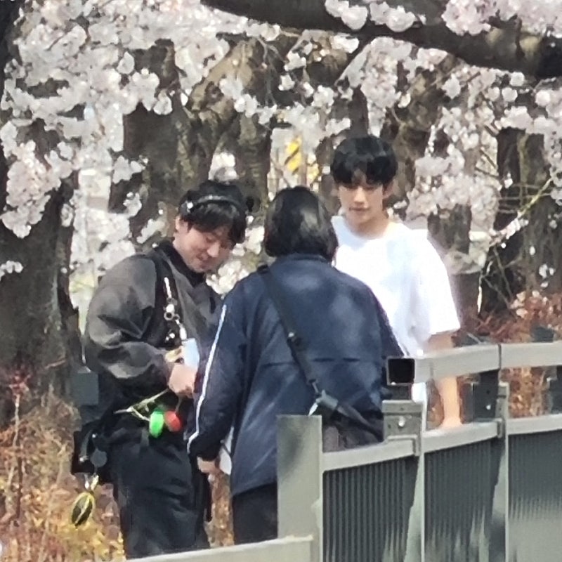 [잡담] 정해인 하영 벚꽃 촬영씬 개이쁠거같다 | 인스티즈