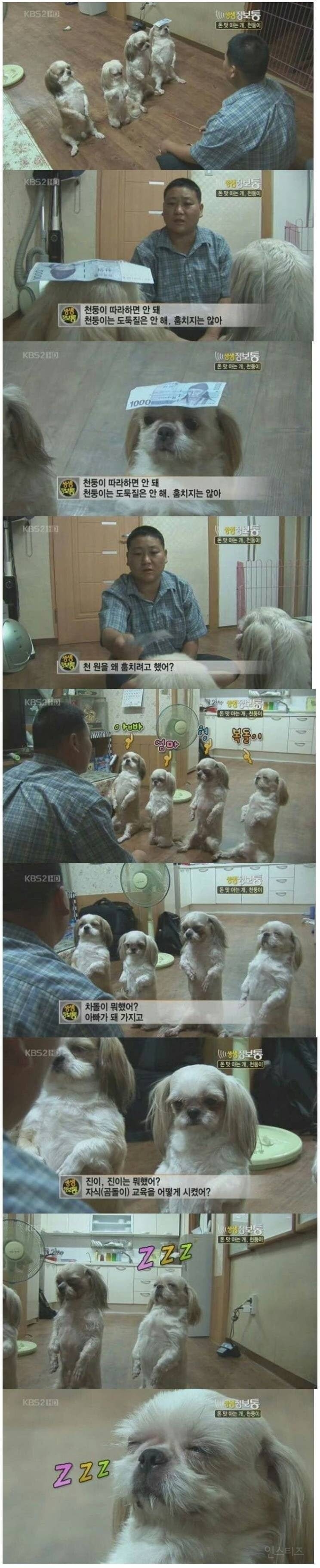 천원 훔쳐서 온가족이 혼남 | 인스티즈