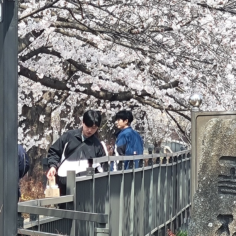 [잡담] 정해인 하영 벚꽃 촬영씬 개이쁠거같다 | 인스티즈