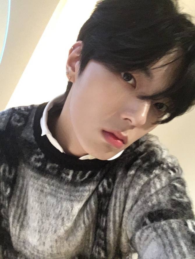 [잡담] 요즘 강쥐상 신흥 강자들.zip | 인스티즈
