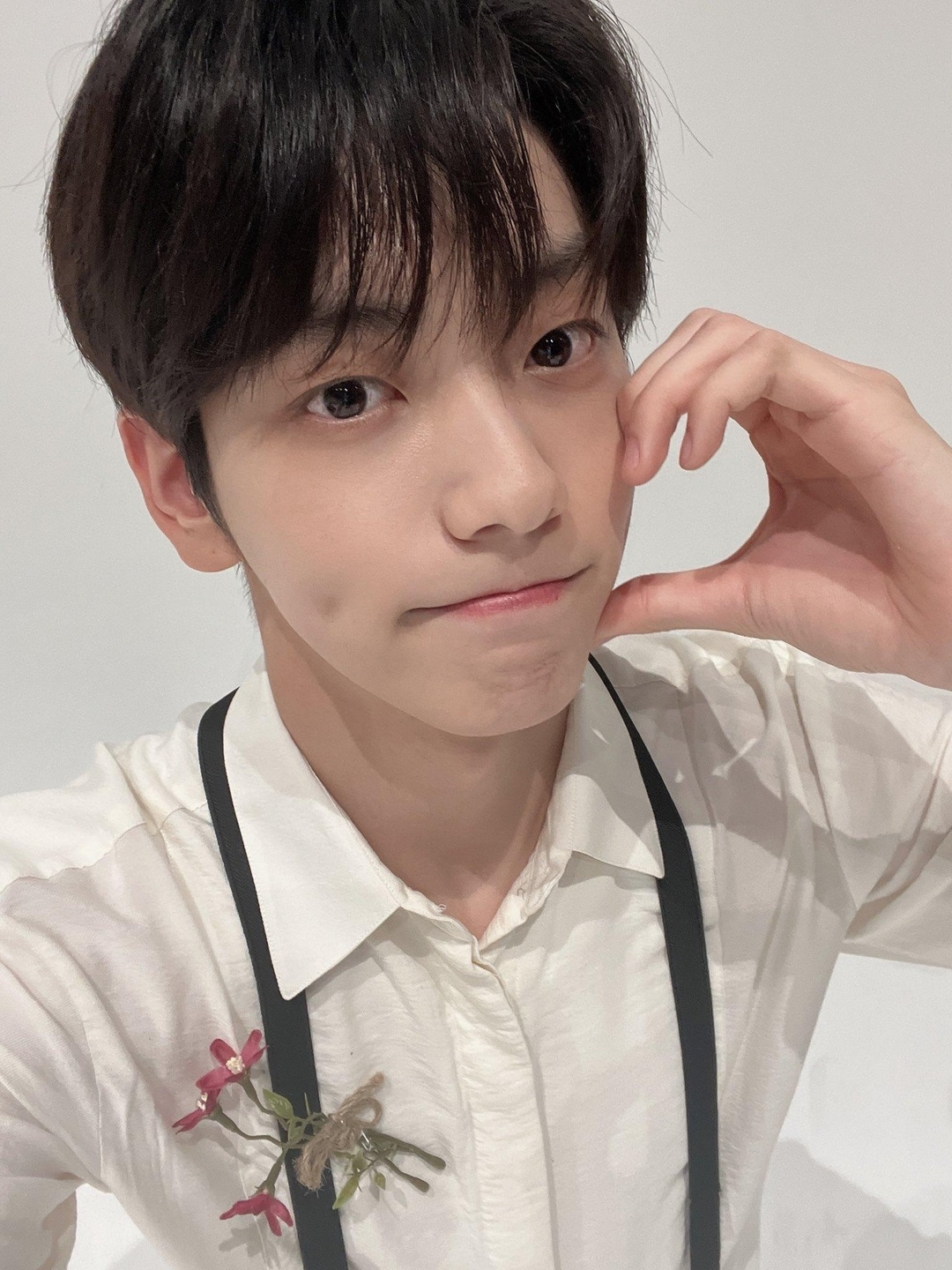 [잡담] 요즘 강쥐상 신흥 강자들.zip | 인스티즈