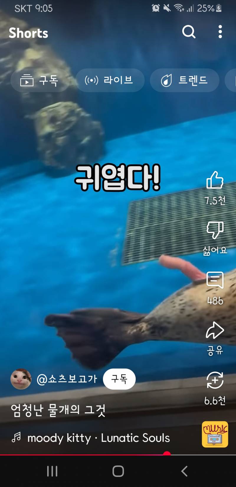 [잡담] 물개 소중이좀 봐 | 인스티즈